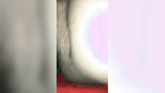 Shy Indian cutie showing her hairy XXX peach in amateur sex video | XXX Video on AllSex.XXX