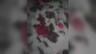 Submissive Desi woman obediently has XXX sex with excited partner | XXX Video on AllSex.XXX