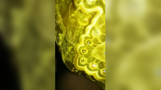 Modest Indian wife showing her XXX snatch before so desired sex | XXX Video on AllSex.XXX