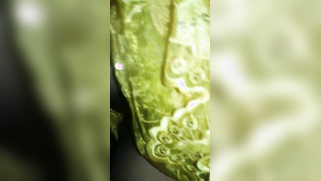 Modest Indian wife showing her XXX snatch before so desired sex | XXX Video on AllSex.XXX