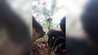 Outdoor XXX video where lover fucks the married Desi in missionary | XXX Video on AllSex.XXX