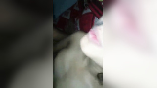 Strong XXX shuttle gives the Indian girl pleasure drilling vagina | XXX Video on AllSex.XXX