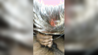 Point of view XXX video of the Indian with nose piercing sucking cock | XXX Video on AllSex.XXX