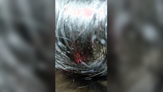 Point of view XXX video of the Indian with nose piercing sucking cock | XXX Video on AllSex.XXX