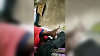 Village guy is supposed to satisfy XXX needs of farmer's Desi wife | XXX Video on AllSex.XXX