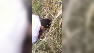 Beautiful Desi couple thinks it's a good idea to have XXX fun outdoors | XXX Video on AllSex.XXX