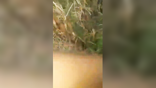 Beautiful Desi couple thinks it's a good idea to have XXX fun outdoors | XXX Video on AllSex.XXX