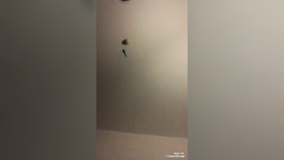 There is nothing better for the Desi chick than XXX buddy's dick | XXX Video on AllSex.XXX