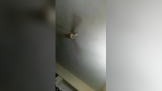 Desi finds XXX source of pleasure in sex with husband's workmate | XXX Video on AllSex.XXX