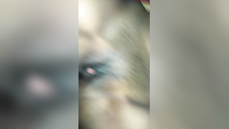 New camera is a good reason for the Indian couple to film XXX video | XXX Video on AllSex.XXX