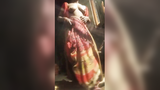 Indian XXX model has wonderful titties and she wants to brag about them | XXX Video on AllSex.XXX