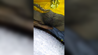 Husband's stepbrother intrudes XXX soldier into Desi's vagina | XXX Video on AllSex.XXX