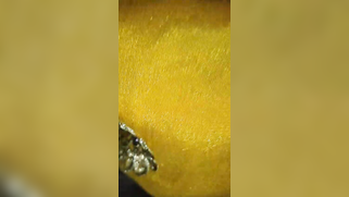 Husband's stepbrother intrudes XXX soldier into Desi's vagina | XXX Video on AllSex.XXX