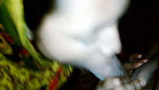 Cameraman had XXX of getting it on with Indian and filming it on cam | XXX Video on AllSex.XXX