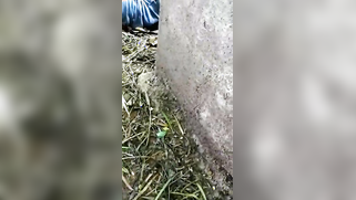 Into Desi XXX lover's liquid arms young men fell and received pleasure | XXX Video on AllSex.XXX