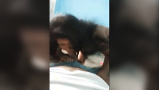 Boy makes sex dreams about blowjob by friend's Desi wife come true | XXX Video on AllSex.XXX