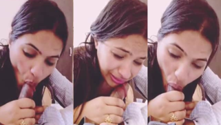 Lack of XXX sex makes Desi coed into crazy cock lover sucking all day | XXX Video on AllSex.XXX