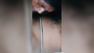 Pervert saw Desi charmer's assets and insisted on XXX blowjob on cam