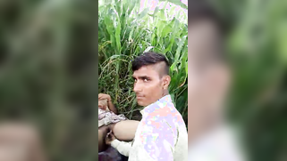 Slender Indian girl lies in grass while man fingers the XXX opening | XXX Video on AllSex.XXX