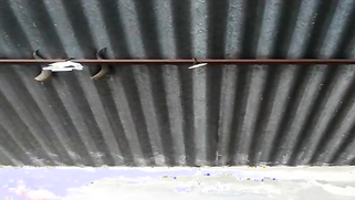 Desi chick works in full performing XXX striptease on amateur camera | XXX Video on AllSex.XXX