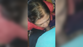 Desi is crazy about penis in mouth cause her mouth is made for XXX act | XXX Video on AllSex.XXX