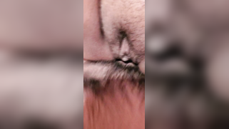 Guy loves watching Indian teen's titties bouncing during XXX fucking | XXX Video on AllSex.XXX