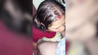 Indian girl takes excited man's cock in mouth playing XXX role | XXX Video on AllSex.XXX