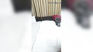 Man films shy Indian GF in black lingerie for personal XXX collection | XXX Video on AllSex.XXX