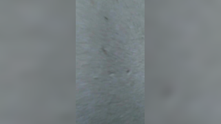 Cock riding gives a lot of pleasure to the Desi with big tits | XXX Video on AllSex.XXX