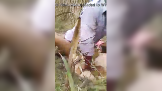 Outdoor Indian sex gives the girl the opportunity to earn some cash | XXX Video on AllSex.XXX