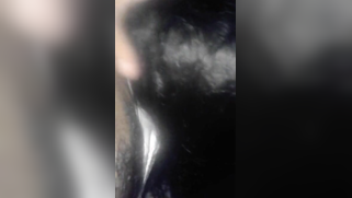 Sex partner's cock is huge but skilled Indian fellatrix isn't afraid | XXX Video on AllSex.XXX