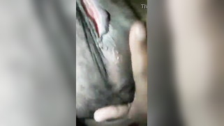 Naughty Desi girl turns guys on touching natural tits and pussy | XXX Video on AllSex.XXX