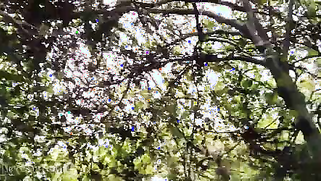 Indian female fucked from behind after pissing in the fresh air | XXX Video on AllSex.XXX