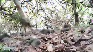 Indian female fucked from behind after pissing in the fresh air | XXX Video on AllSex.XXX