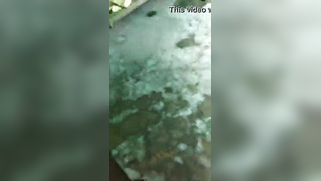 Boy films point of view video where he fucks Indian female from behind | XXX Video on AllSex.XXX