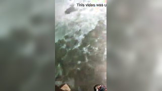 Boy films point of view video where he fucks Indian female from behind | XXX Video on AllSex.XXX