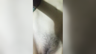 Good-looking Indian girl likes to film her well-groomed pussy and tits | XXX Video on AllSex.XXX