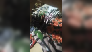 Good-looking Indian girl likes to film her well-groomed pussy and tits | XXX Video on AllSex.XXX