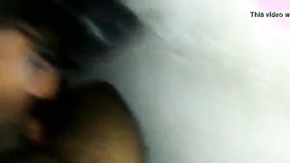 Curly-haired Desi lovely gently sucks dick in the point of view video | XXX Video on AllSex.XXX