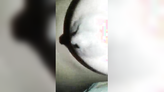 Aspiring Indian pornographer fucks the girl trying to film her tits | XXX Video on AllSex.XXX