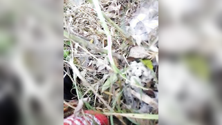 Guy can't stop admiring woman's vagina even after outdoor Indian sex | XXX Video on AllSex.XXX