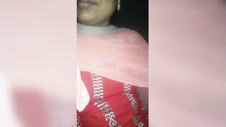 It is safe to say that the Desi woman sucks lover's cock like a pro