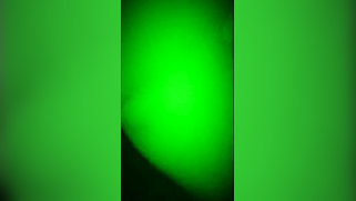 Happy Indian wants everybody to watch her dancing without clothes | XXX Video on AllSex.XXX