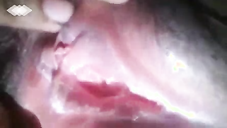 Solo video of Desi XXX model trying to impress people with her pussy | XXX Video on AllSex.XXX