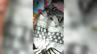 Indian man's fantasy is to film XXX video and he convices the wife | XXX Video on AllSex.XXX