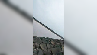 Nobody is around so the Telugu slut can suck XXX partner's boner | XXX Video on AllSex.XXX