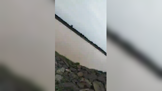 Nobody is around so the Telugu slut can suck XXX partner's boner | XXX Video on AllSex.XXX