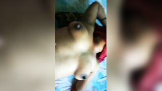 Bangla lady makes the husband happy letting him film XXX video | XXX Video on AllSex.XXX