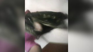 Bangla girl wants boyfriend to jerk off watching her XXX video | XXX Video on AllSex.XXX