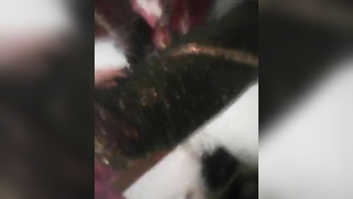 Bangla girl wants boyfriend to jerk off watching her XXX video | XXX Video on AllSex.XXX